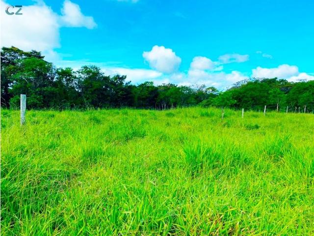 Cortijo de alto standing de 1100000 m2 en venta Cerro Punta, Provincia de Chiriquí