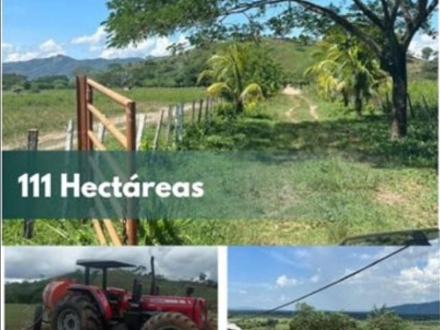 Propiedad en venta en Cocorote, Municipio Cocorote