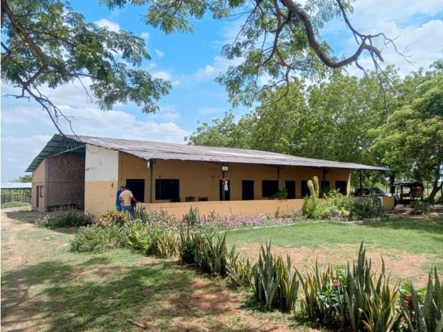 Propiedad en venta en Santa María De Ipire, Guárico