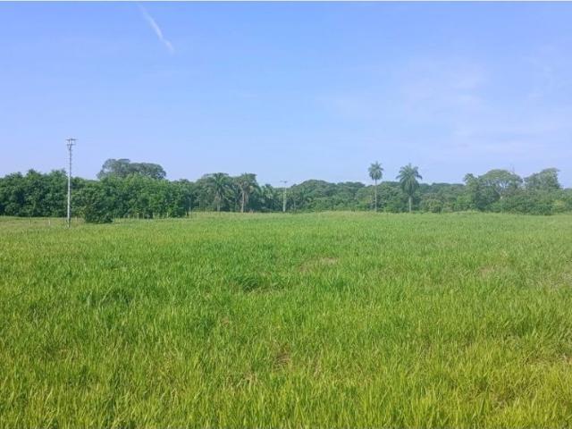 Propiedad en venta en Barinas