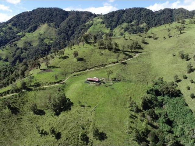 Finca en venta en Tolima