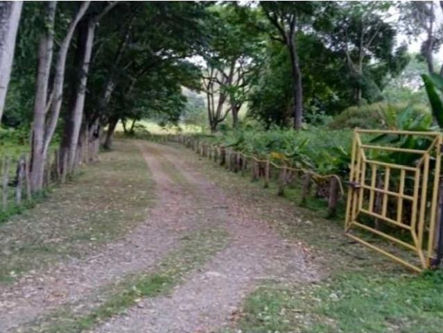 Propiedad en venta en Tinaquillo, Cojedes