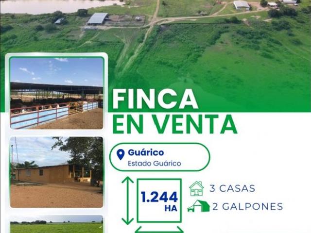 Propiedad en venta en Roscio, Guárico