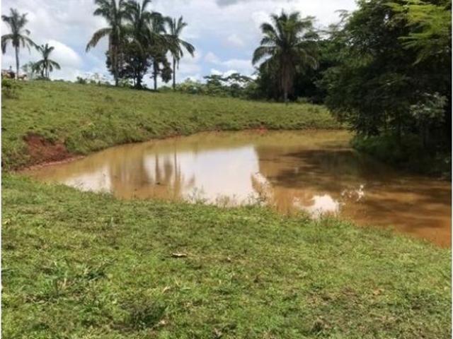 Cortijo de alto standing de 125000 m2 en venta La Chorrera, Panamá Oeste