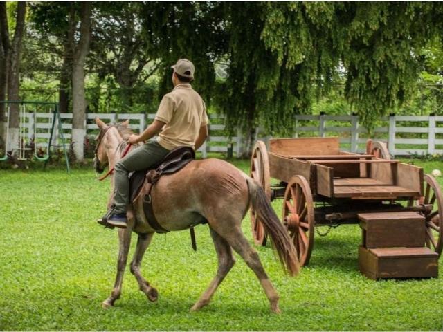 Cortijo de alto standing de 125000 m2 en venta La Chorrera, Panamá Oeste