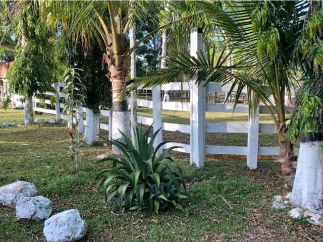 Cortijo de alto standing de 125000 m2 en venta La Chorrera, Panamá Oeste