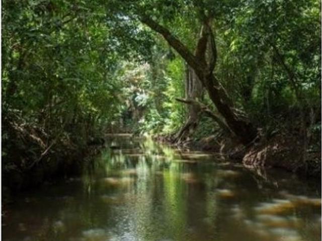 Cortijo de alto standing de 125000 m2 en venta La Chorrera, Panamá Oeste