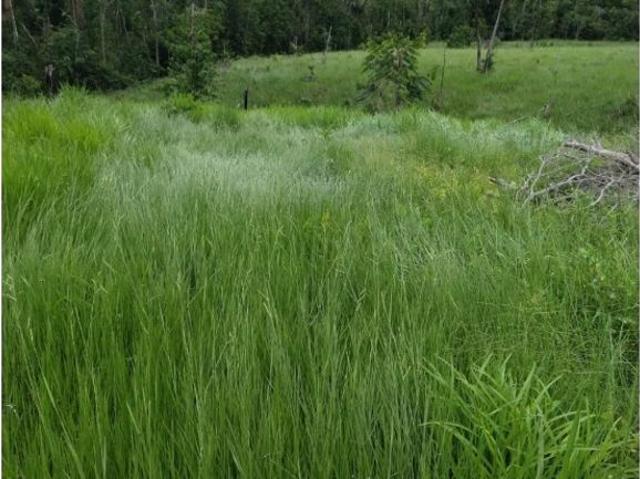 Finca en venta en Sabana de Torres, Yariguíes
