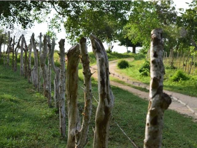 Cortijo de alto standing de 1300000 m2 en venta Arjona, Departamento de Bolívar