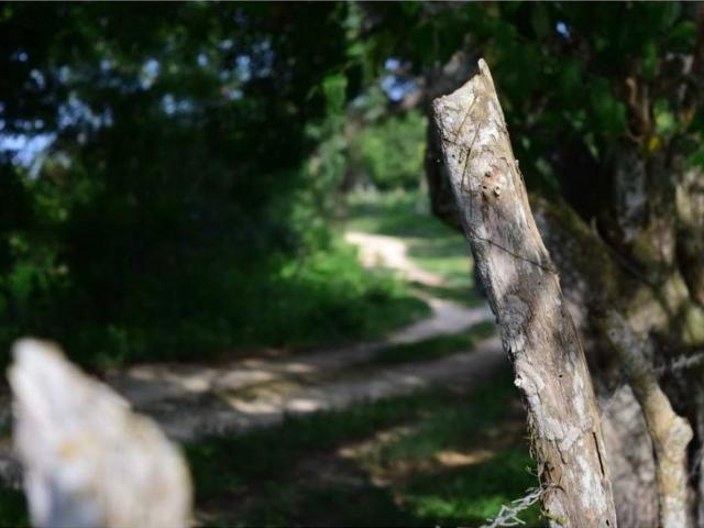 Cortijo de alto standing de 1300000 m2 en venta Arjona, Departamento de Bolívar