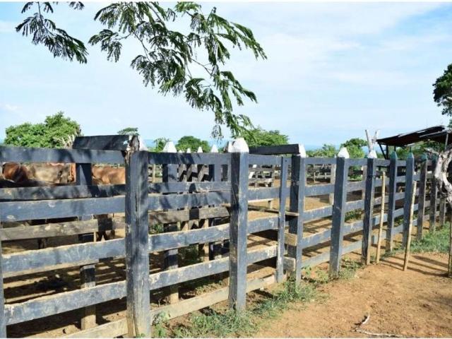 Cortijo de alto standing de 1300000 m2 en venta Arjona, Departamento de Bolívar