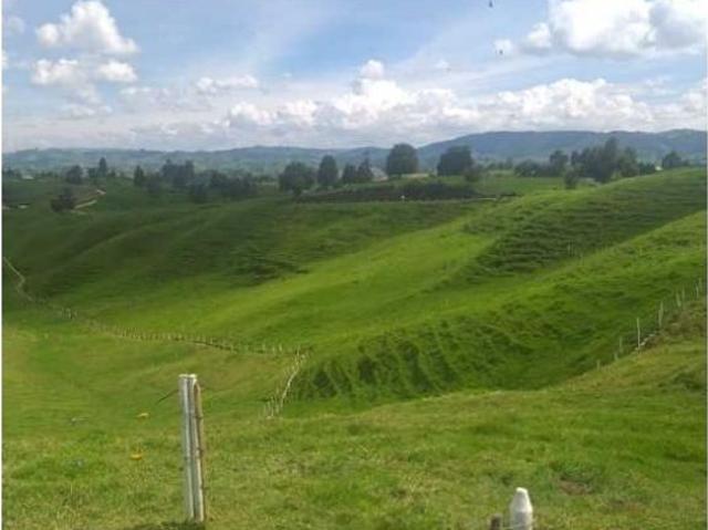 Finca en venta en Antioquia, Norte