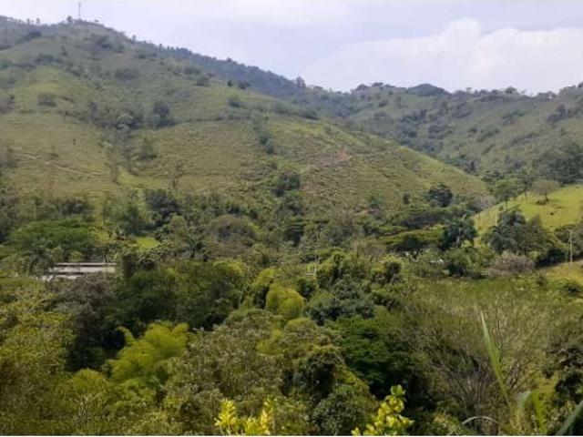 Finca en venta en Antioquia, Suroeste