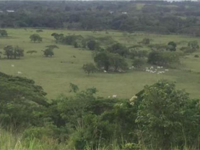 Propiedad en venta en Santa Ana De Coro, Falcón