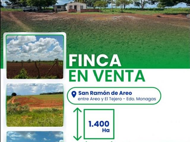 Propiedad en venta en Mata De Mata, Monagas