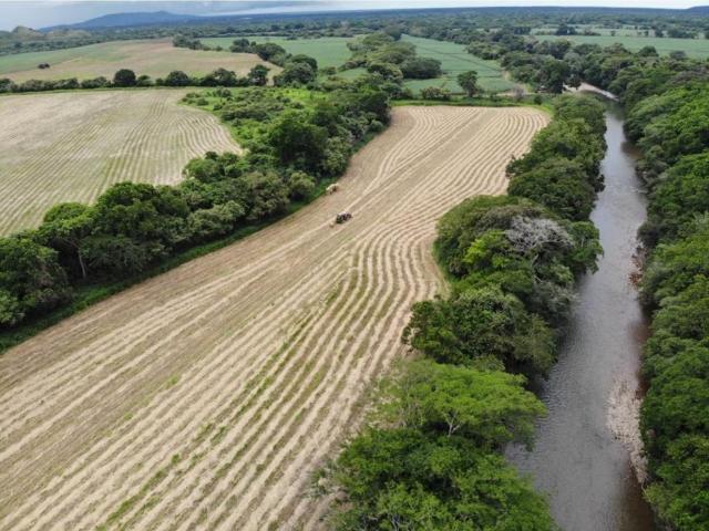 Cortijo de alto standing de 1400000 m2 en venta Natá, Panamá