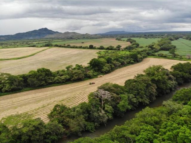 Cortijo de alto standing de 1400000 m2 en venta Natá, Panamá