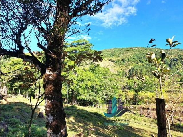 Cortijo de alto standing de 145000 m2 en venta Boquete, Panamá