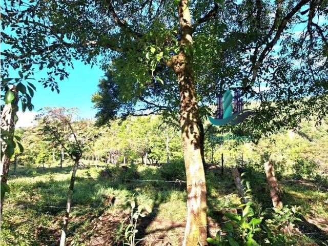 Cortijo de alto standing de 145000 m2 en venta Boquete, Panamá