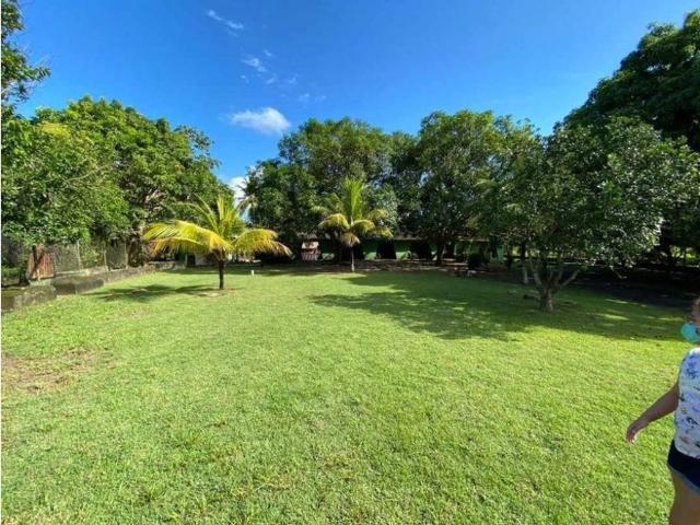 Cortijo de alto standing de 1470000 m2 en venta Dibulla, Departamento de La Guajira