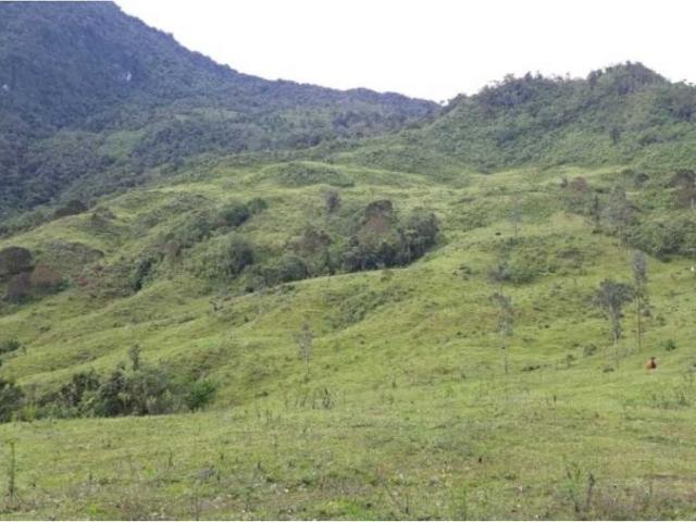 Finca en venta en Quindío