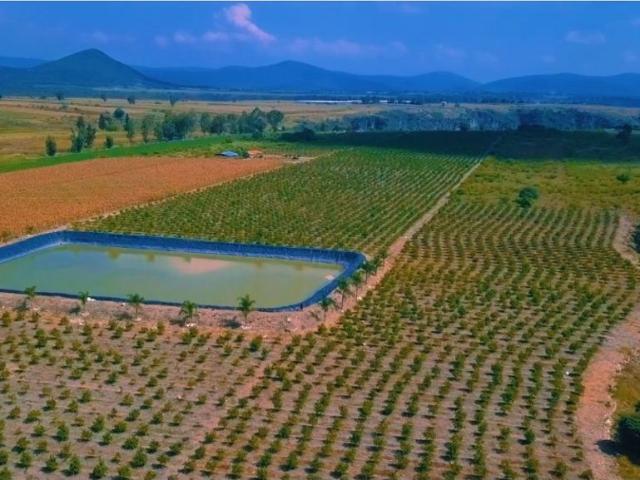 Rancho en venta en Pilcaya, Guerrero