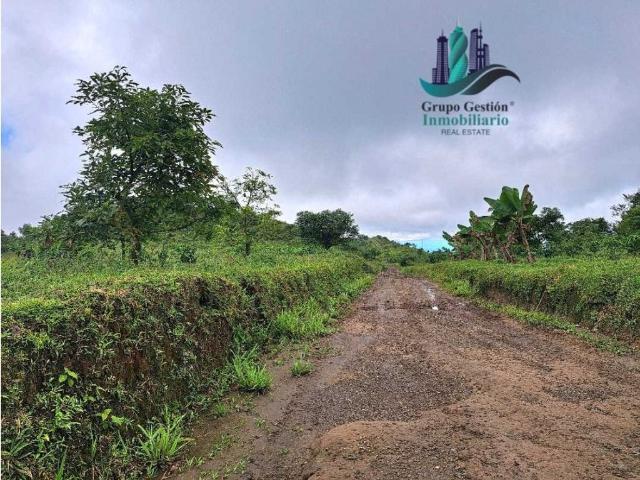 Cortijo de alto standing de 1630000 m2 en venta Boquerón, Provincia de Colón