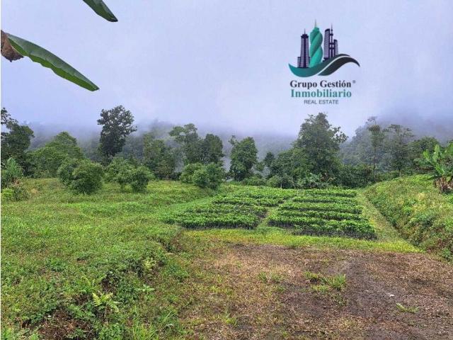Cortijo de alto standing de 1630000 m2 en venta Boquerón, Provincia de Colón