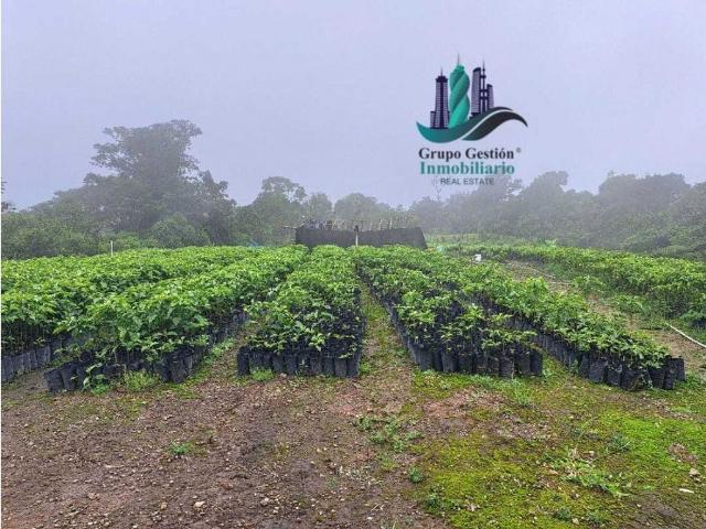 Cortijo de alto standing de 1630000 m2 en venta Boquerón, Provincia de Colón