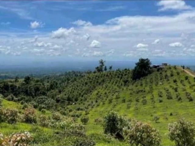 Cortijo de alto standing de 1630000 m2 en venta Boquerón, Provincia de Colón