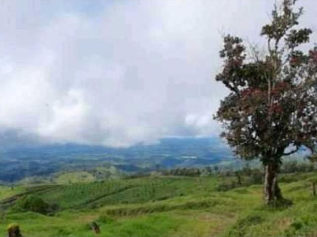Cortijo de alto standing de 1630000 m2 en venta Boquerón, Provincia de Colón
