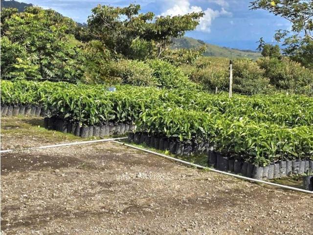 Cortijo de alto standing de 1630000 m2 en venta Boquerón, Provincia de Colón