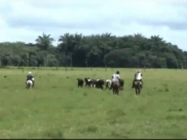 Finca en venta en San Martín, La Esperanza