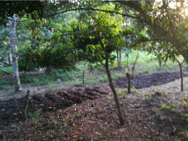 Cortijo de alto standing de 170000 m2 en venta Arjona, Departamento de Bolívar