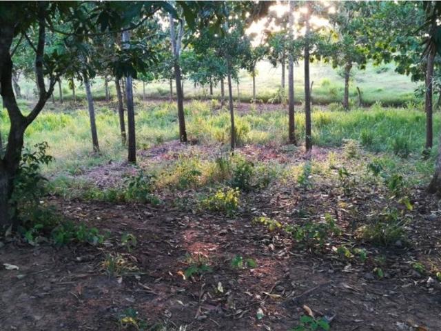 Finca en venta en Bolívar