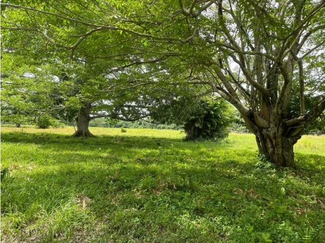 Finca en venta en Tolima