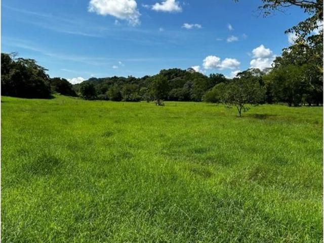 Finca en venta en Caldas, La Dorada