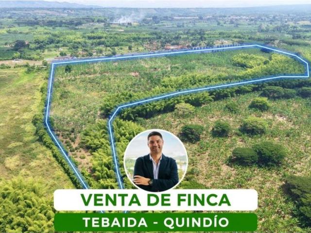 Finca en venta en La Tebaida, Valle
