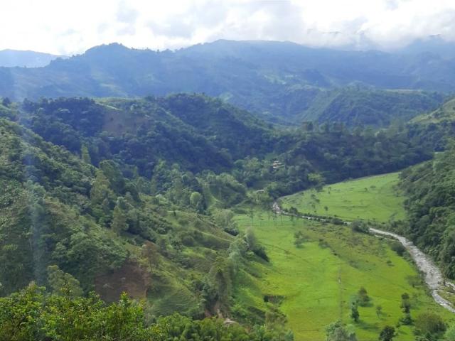 Finca en venta en Quindío
