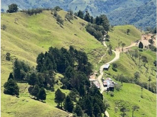 Finca en venta en Calarca, Quindío