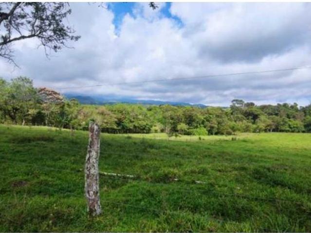 Cortijo de alto standing de 1950000 m2 en venta Boquerón, Panamá