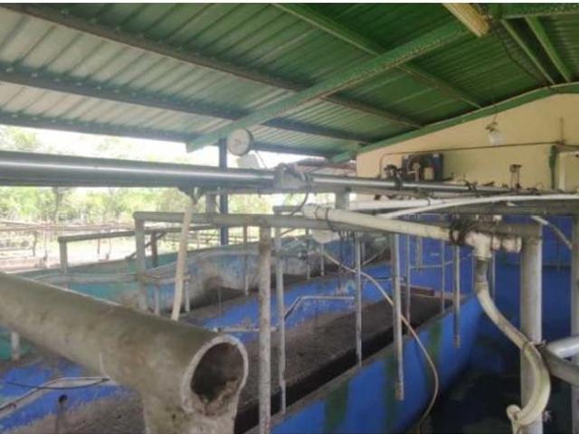 Cortijo de alto standing de 1950000 m2 en venta Boquerón, Panamá