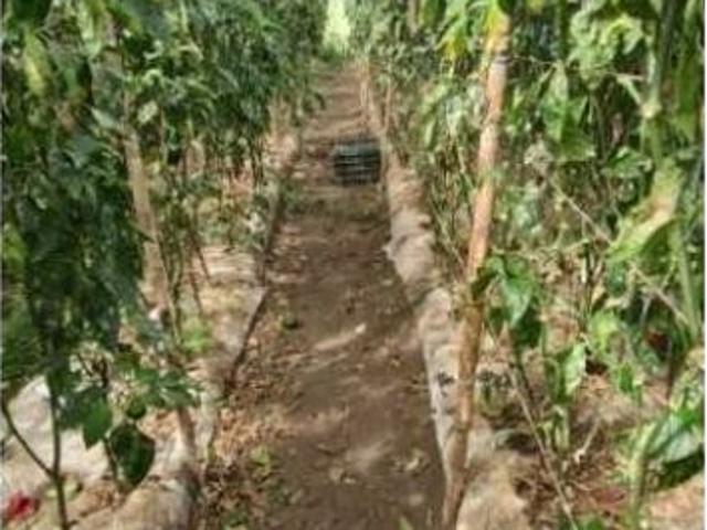 Cortijo de alto standing de 1950000 m2 en venta Boquerón, Panamá
