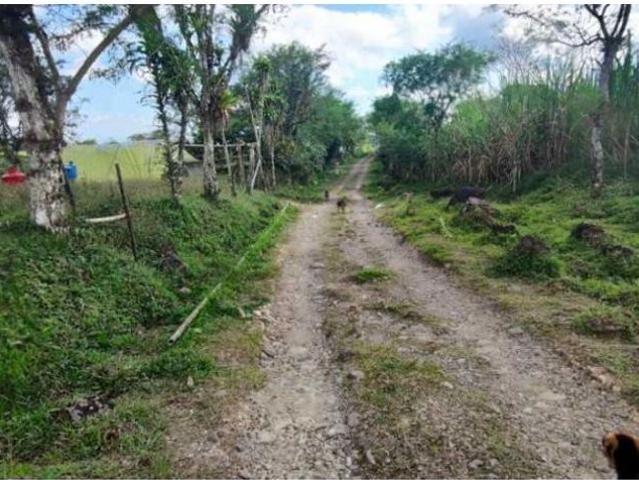 Cortijo de alto standing de 1950000 m2 en venta Boquerón, Panamá