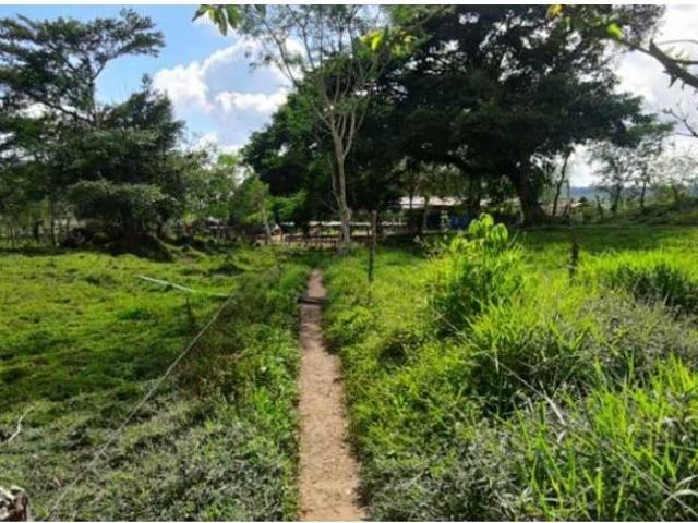 Cortijo de alto standing de 1950000 m2 en venta Boquerón, Panamá