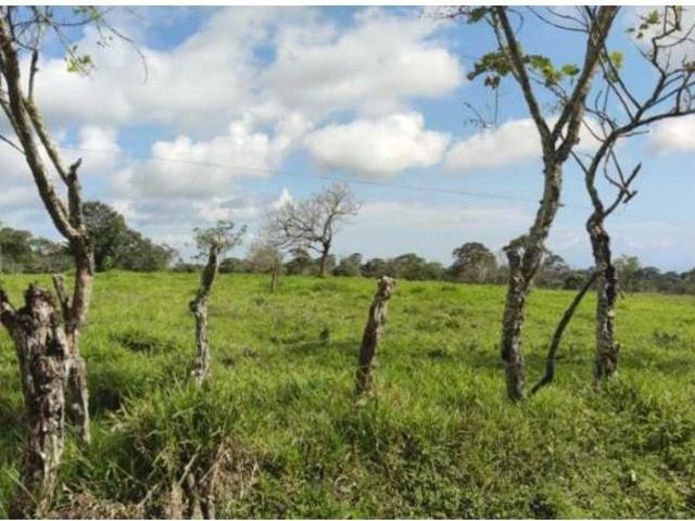 Cortijo de alto standing de 1950000 m2 en venta Boquerón, Panamá