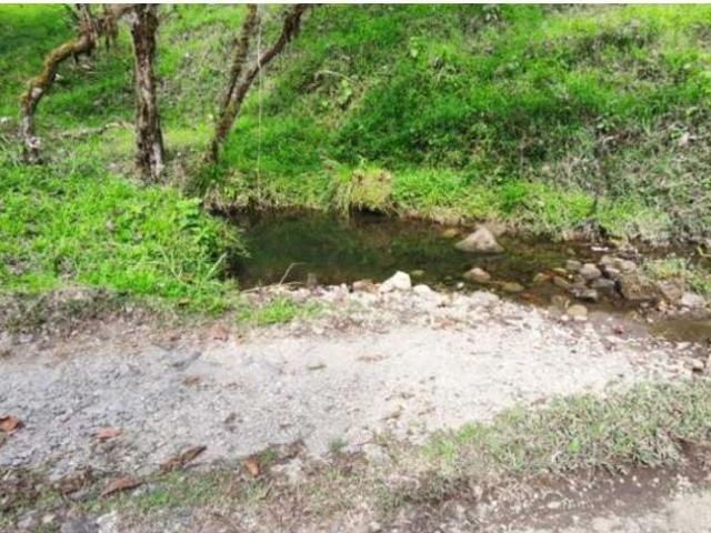 Cortijo de alto standing de 1950000 m2 en venta Boquerón, Panamá