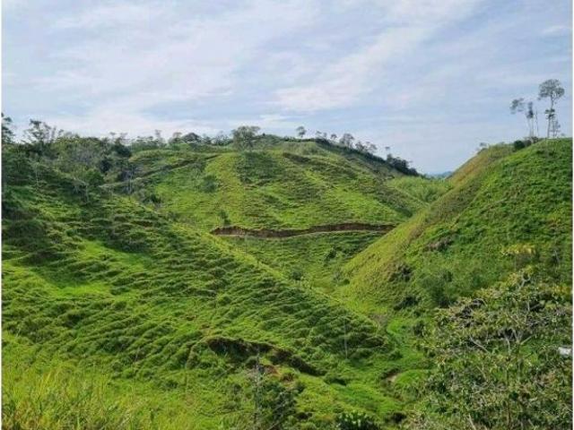 Finca en venta en Antioquia, Magdalena Medio