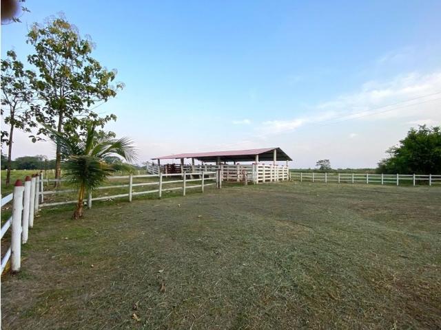Finca en venta en Antioquia, Bajo Cauca