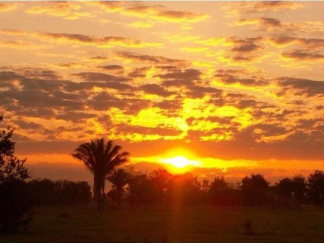 Cortijo de alto standing de 21330000 m2 en venta Puerto Carreño, Colombia